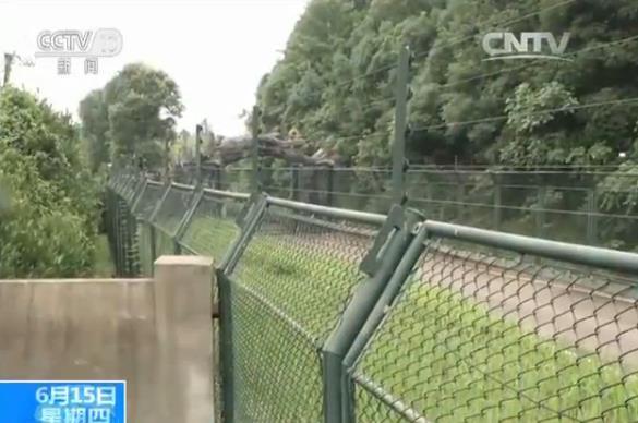 三游客逃票翻墙进动物园险入“虎口” 称围网有破口
