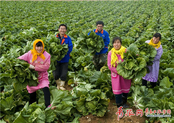 2017最受喜爱中国农产品品牌 青岛3品牌入选