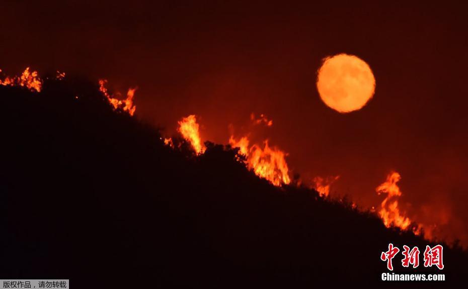 美国加州森林大火蔓延