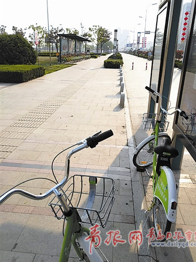 公共自行车PK共享单车 青岛人你要骑哪种(图)