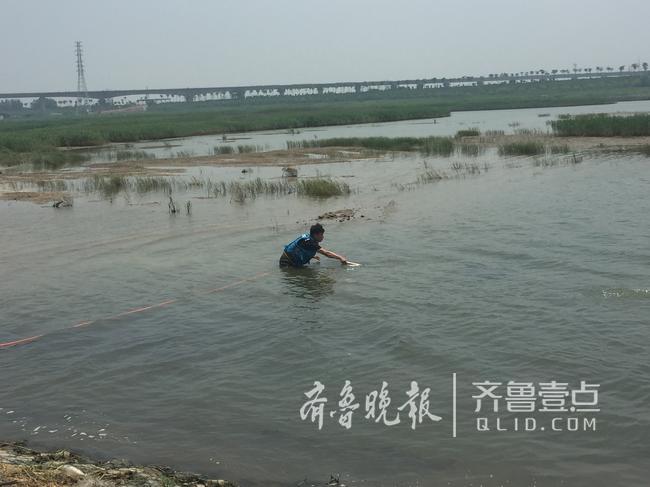 痛心！骑车路过大沽河 胶州14岁中学生溺水身亡