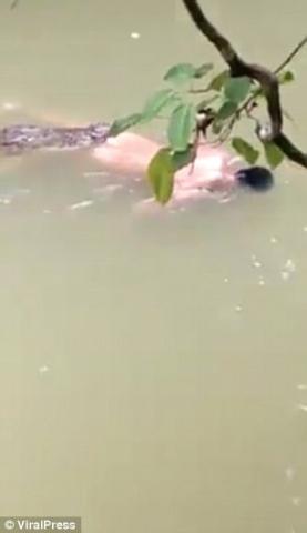 鳄鱼将裸身男子拖入水中 次日将尸体完好送回