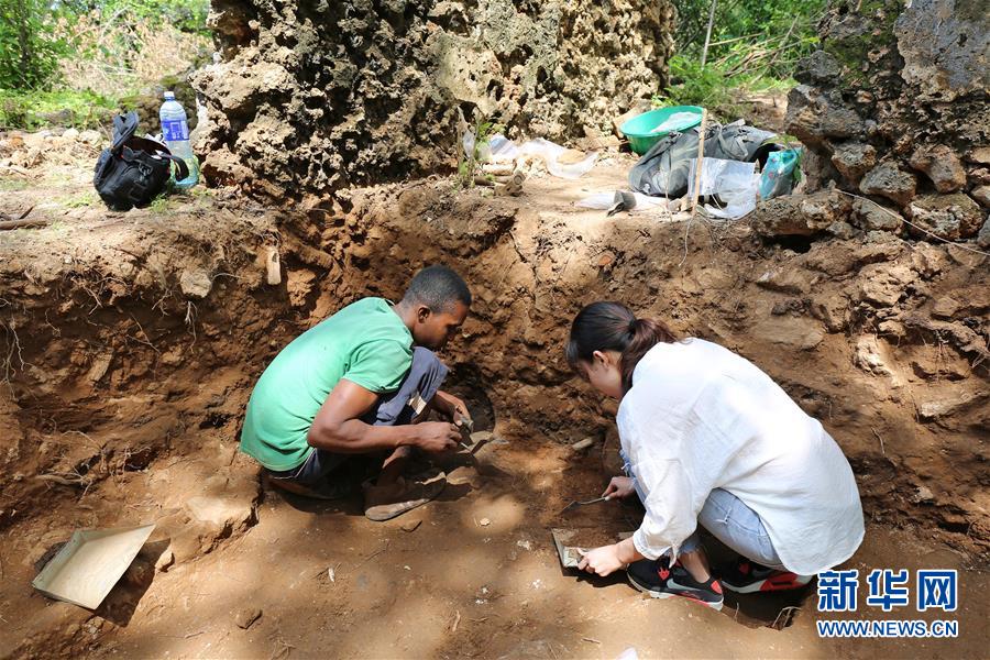 肯尼亚发现郑和下西洋时代中国血缘人骨遗骸