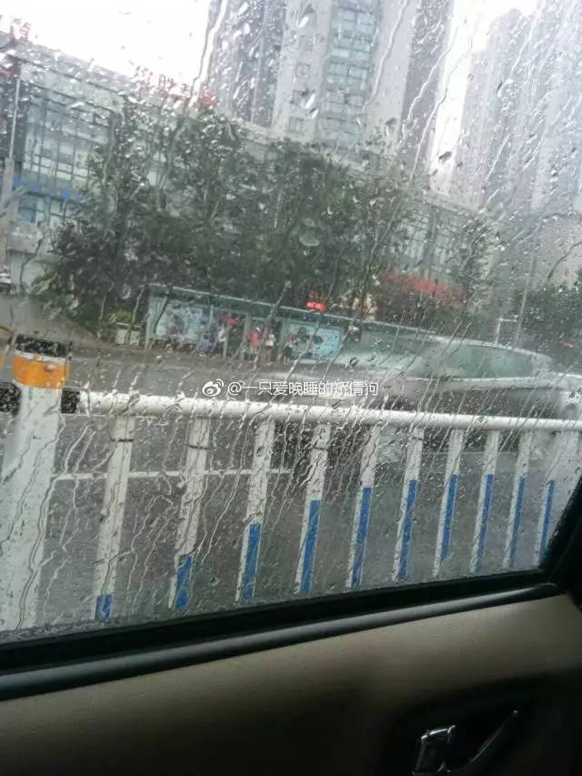 青岛暴雨倾盆 这些易积水路段要注意！(图)