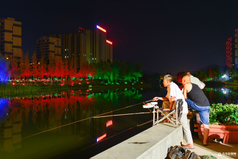 高清：一组清凉图告诉你 李村河上游夜色之美