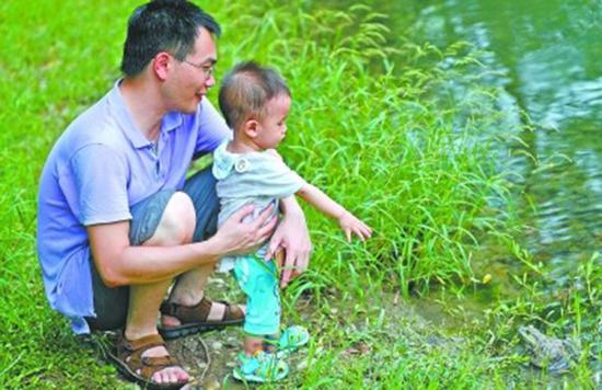 汉口公园现外来入侵物种牛蛙 专家:应打死吃掉