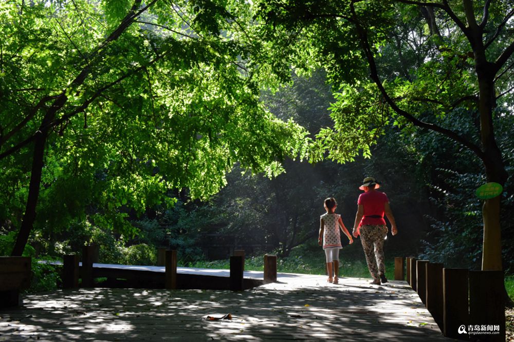 高清:立秋最高温32℃ 晒晨光沐浴的中山公园