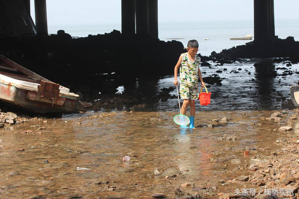 青岛近期大雨不断枯河涨水 胶州湾鱼群洄游引围观