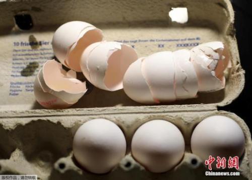 毒鸡蛋事件蔓延欧洲16国 欧盟紧急磋商对策