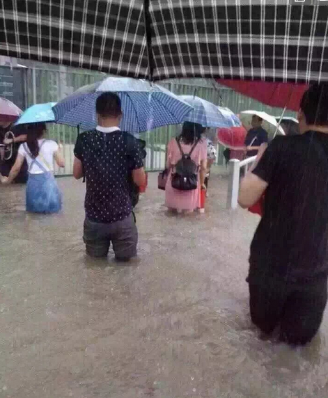 上海暴雨积水 空姐走T台过街(组图)