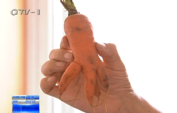 女子爱好收集奇形怪状蔬菜 胡萝卜土豆像人形