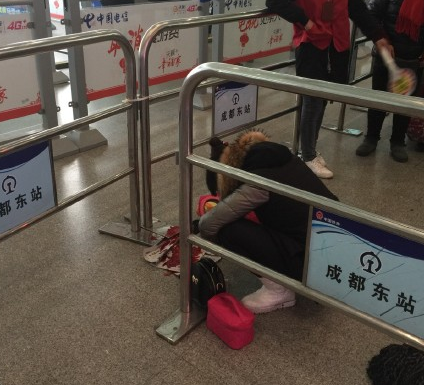 四川新闻网成都1月19日讯（记者 彭亮）火车站安检口，一名女子手持水果刀蹲在地上，眼前是一只被割开喉咙的鸭子，鲜血浸透地上铺开的报纸，在地面流淌……19日上午，发生在成都东客站乘客进站口的一幕，让来成都出差的外地乘客王先生目瞪口呆。“为什么在公共场所杀鸭子，考虑过其他乘客的感受吗？”随后，王先生将这一幕拍摄下来发到了网上。
