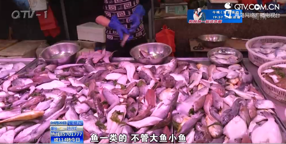 休渔期将近想吃海鲜抓紧 鱼类供应量减少