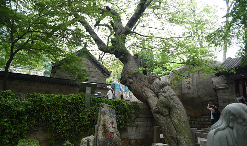 青岛市自媒体联盟走进三湾三城探访海湾型城市风采