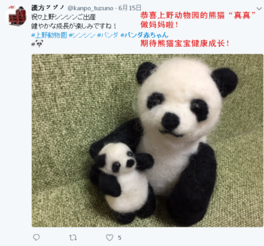 真爱！日本人给一只熊猫宝宝起了32万个名字