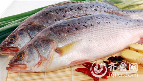 青岛秋季最适合吃的10种海鲜