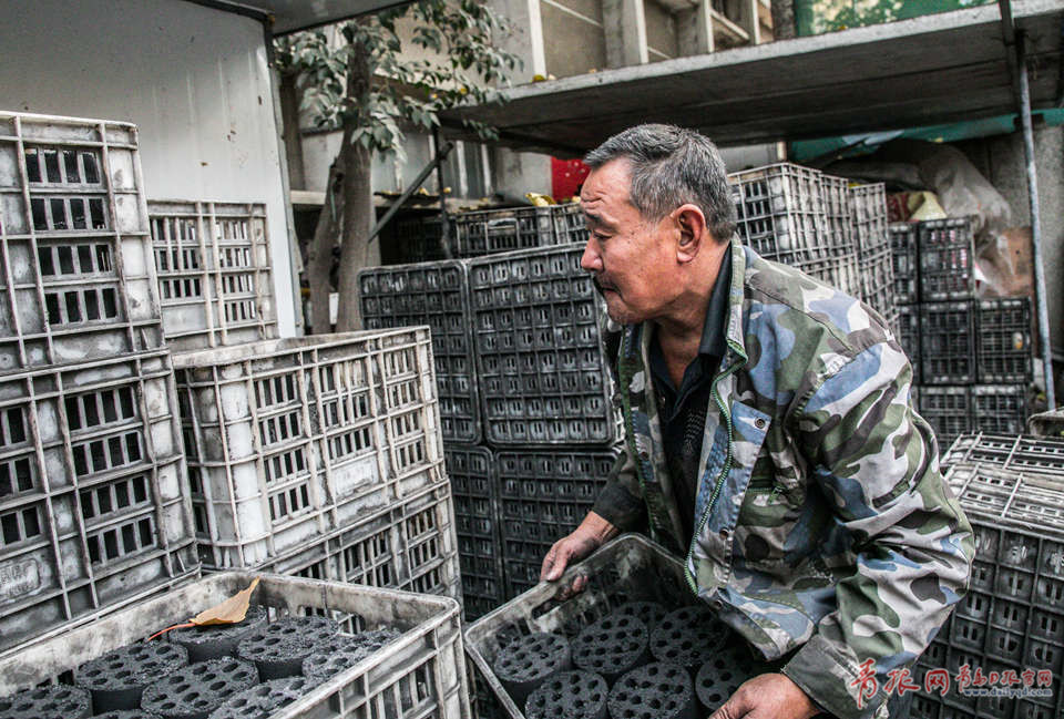 探访青岛最后一家煤店:两位老人的坚守