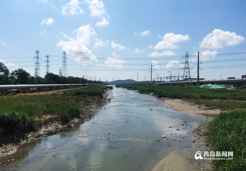青岛高新区污水处理厂污泥处置单位采购项目招标公告