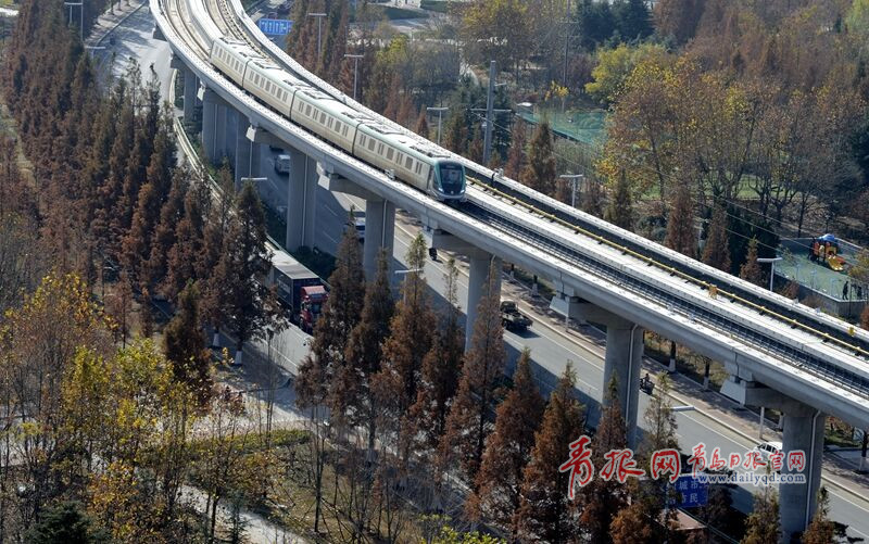 正在高架桥上空载试运行的地铁列车穿梭往来,仿佛在画中运行.