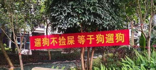 "遛狗不捡屎等于狗遛狗"小区挂这种条幅合适么