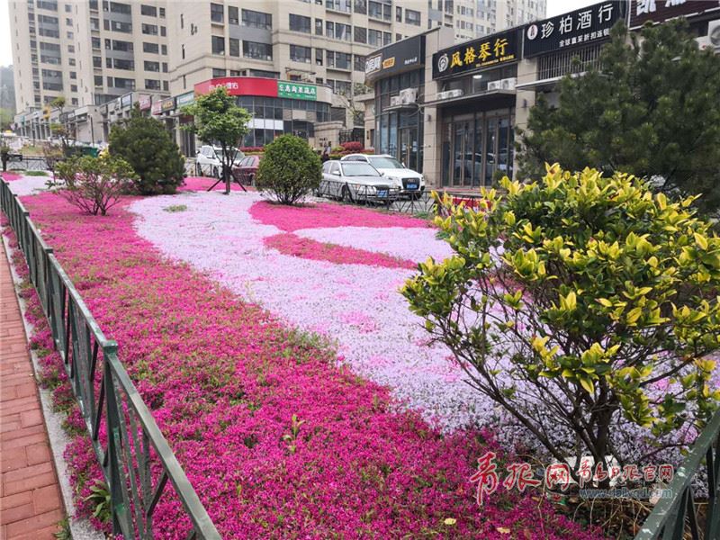 地产鲜花路引图片