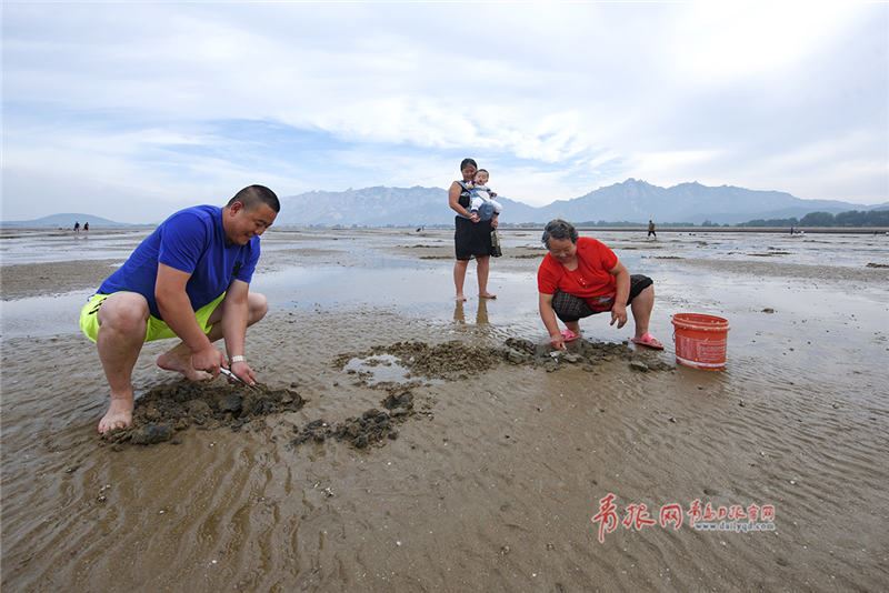 崂山会场赶海园图片