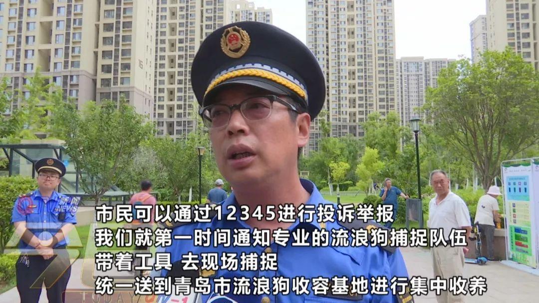 趙本敵 李滄區綜合行政執法局浮山中隊副中隊長