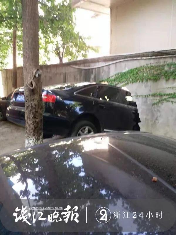 男司机小区内连撞5车撞穿围墙 事后车上跳下一条狗