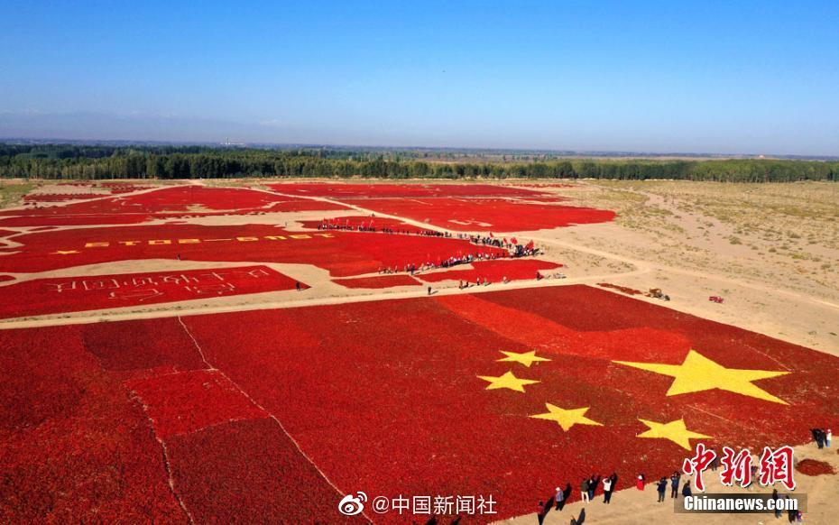戈壁滩上辣椒拼3万平米巨型中国地图庆丰收