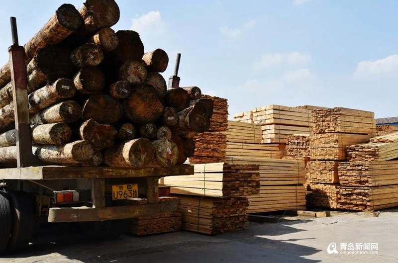 自贸青岛片区有个北方最大木材市场 年交易将达500亿