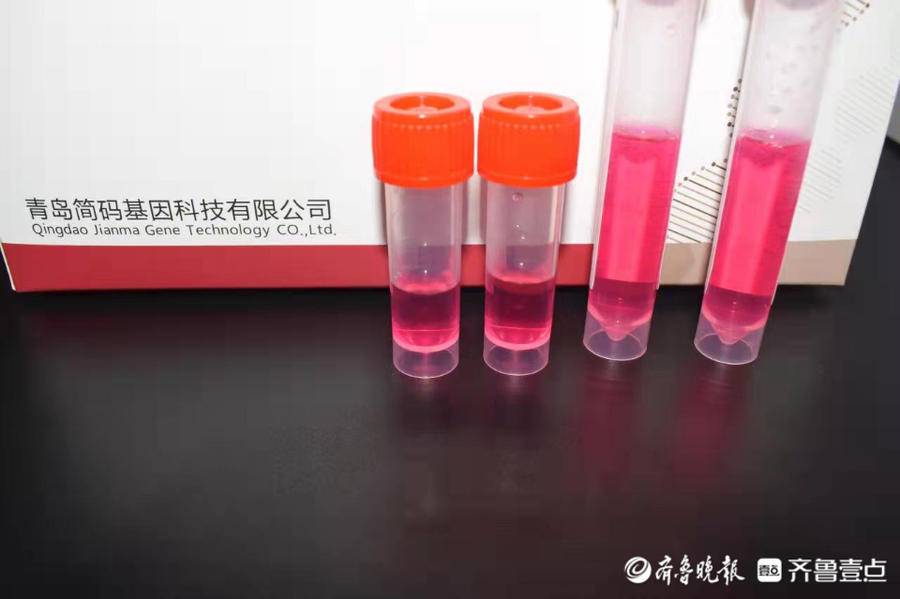 恒温扩增技术：基因编辑的新方向