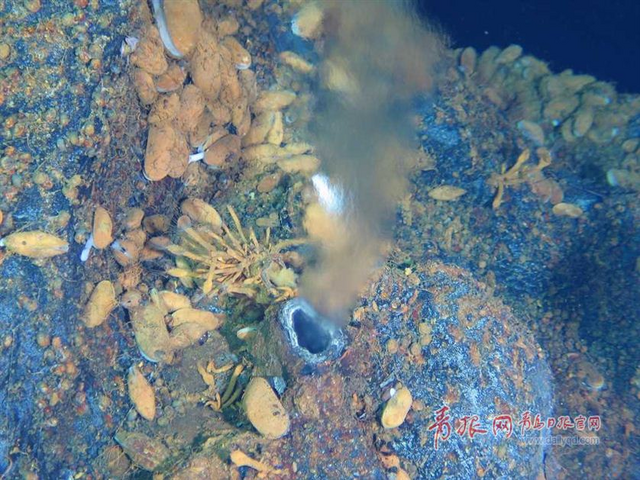 蛟龙号探秘神奇海底热液区 珍贵图片曝光