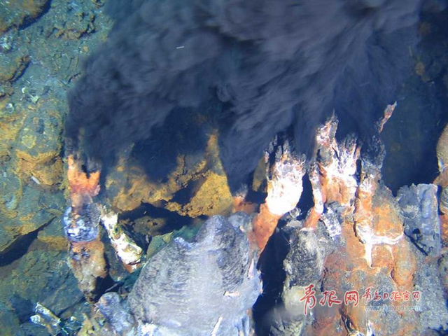 蛟龙号探秘神奇海底热液区 珍贵图片曝光