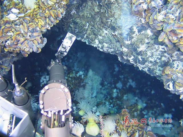 蛟龙号探秘神奇海底热液区 珍贵图片曝光