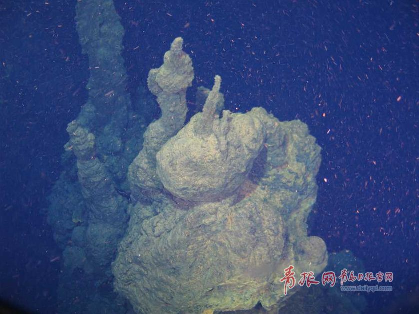 蛟龙号探秘神奇海底热液区 珍贵图片曝光