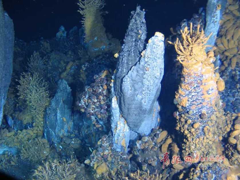 蛟龙号探秘神奇海底热液区 珍贵图片曝光