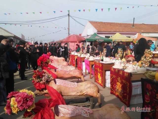 田横祭海节现场探访 肥猪披红挂彩抢眼(组图)