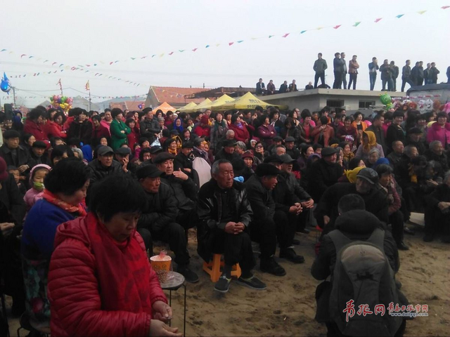 田横祭海节现场探访 肥猪披红挂彩抢眼(组图)