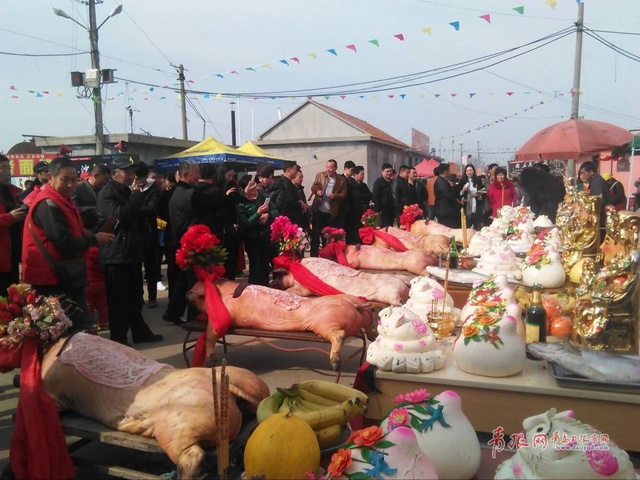 田横祭海节现场探访 肥猪披红挂彩抢眼(组图)