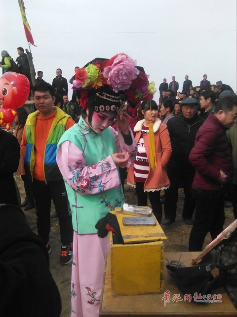 田横祭海节现场探访 肥猪披红挂彩抢眼(组图)