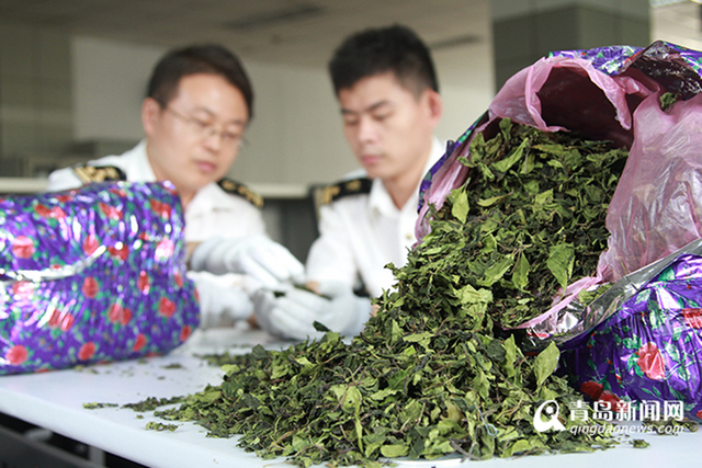 青岛海关2016十大案例:侦破枪支走私大案