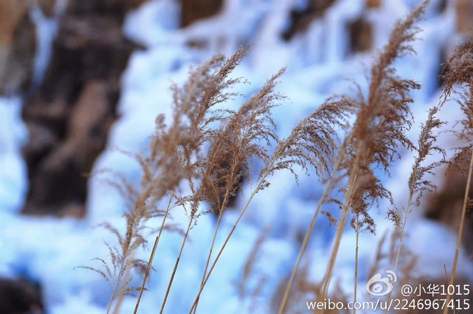 实拍北九水冰瀑 