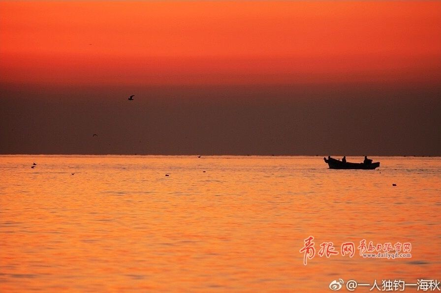 朝霞与海鸥齐飞 实拍浮山湾日出全过程