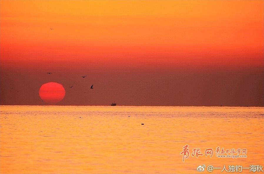 朝霞与海鸥齐飞 实拍浮山湾日出全过程