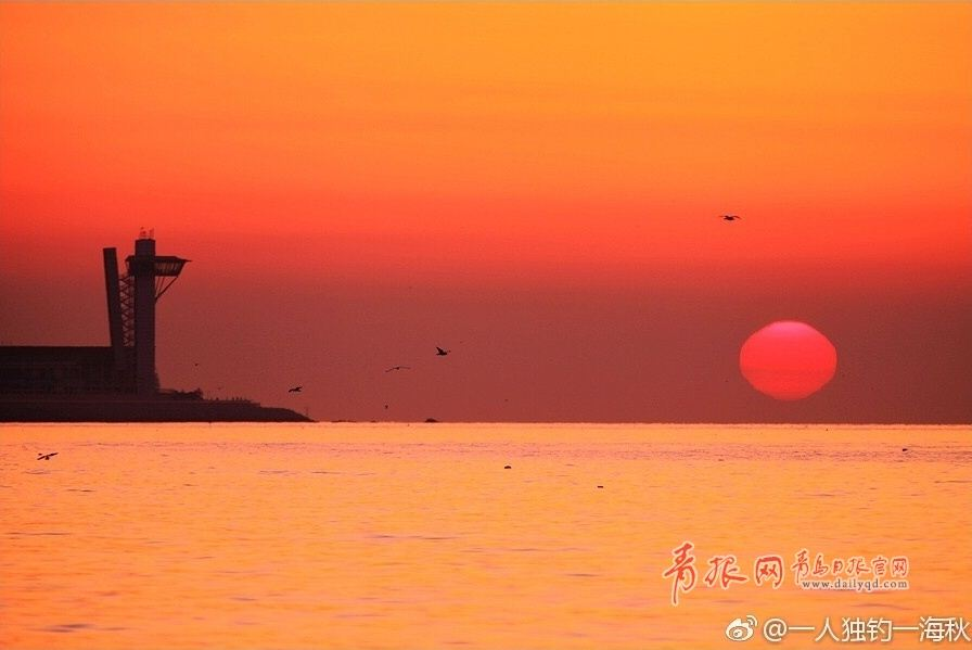 朝霞与海鸥齐飞 实拍浮山湾日出全过程