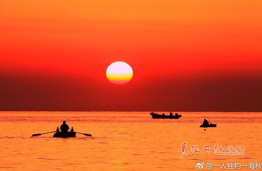 朝霞与海鸥齐飞 实拍浮山湾日出全过程