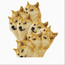 车主抱怨轮胎总被狗狗尿 要防止可以这么做(图)