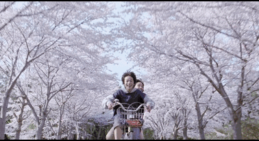 关注青岛新闻网微信 抢大珠山杜鹃花会门票