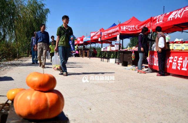 攻略 玩转青岛之胶州篇 八大名菜受热捧 攻略 玩转青岛之胶州篇 八大名菜受热捧