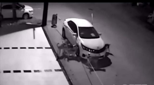 男子鸣笛赶狗 土狗竟叫伙伴把车拆了